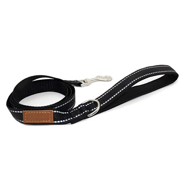 Neoprene Dog Leash