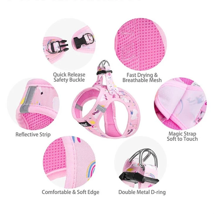 No Pull Dog Harness And Leash Set suppliers