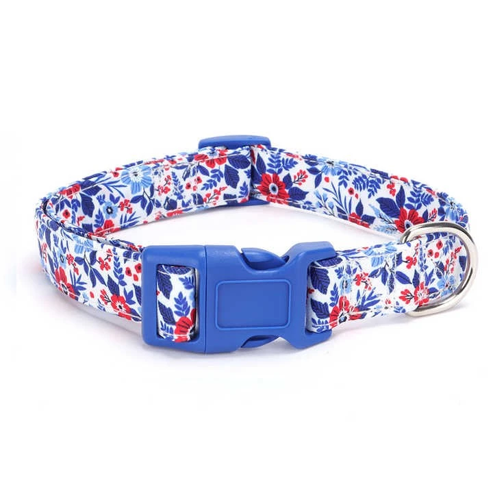 Dog Collar With Colorful Buckle