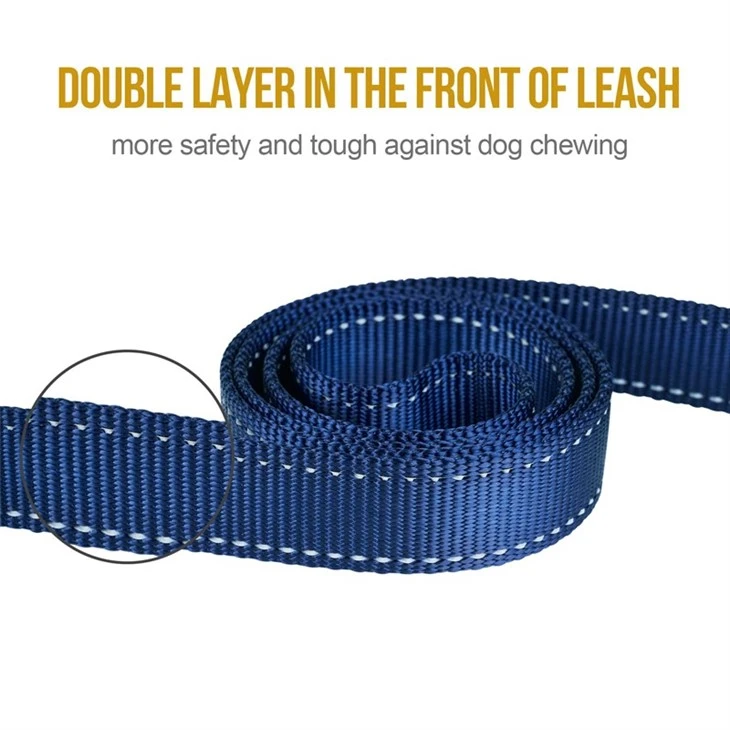 Double Handle Leash best
