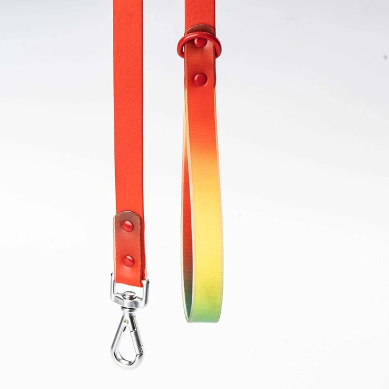 Gradient Pvc Dog Leash factory