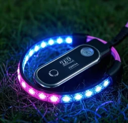 LED DOG DOAD