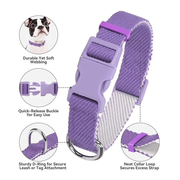 Outdoor Dog Collars