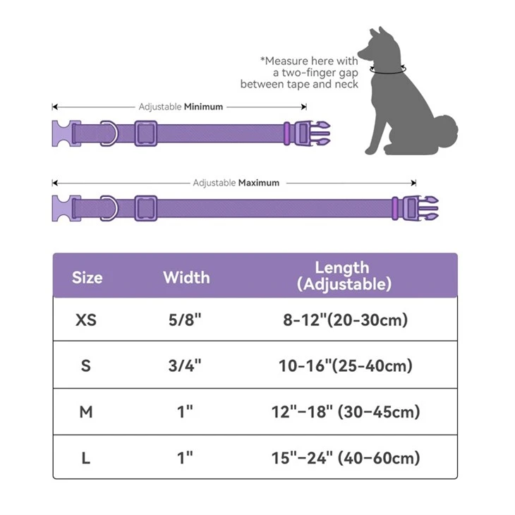 Outdoor Dog Collars