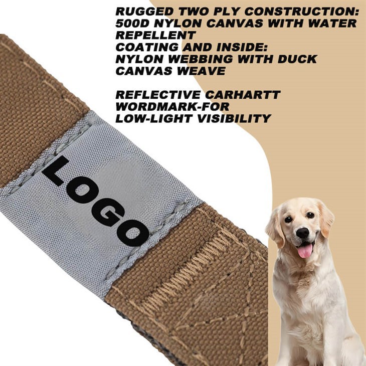 best dog leash for small dogs