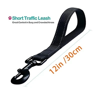 Trưởng nhóm giao thông chó