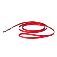 Con chó tốt dẫn